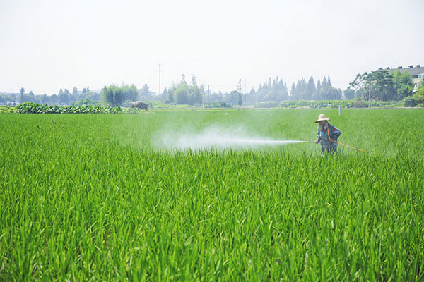 葉面肥廠家講什么是土壤質(zhì)?