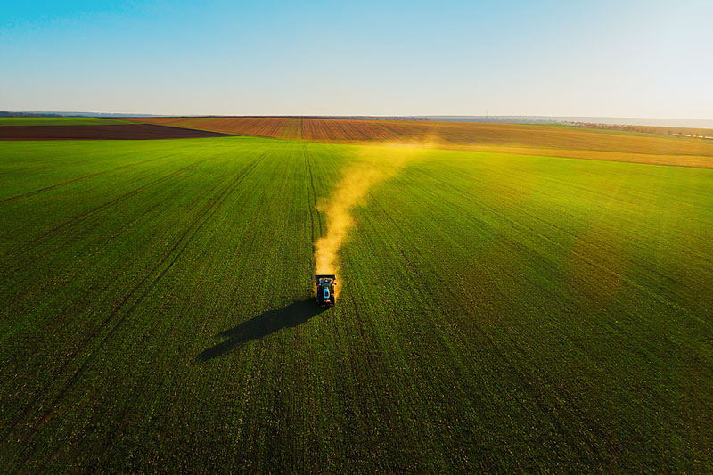 怎樣正確使用葉面肥?這幾方面要做到位