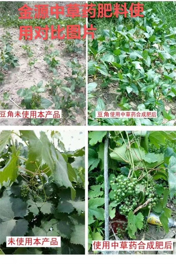 中草藥合成肥對比圖